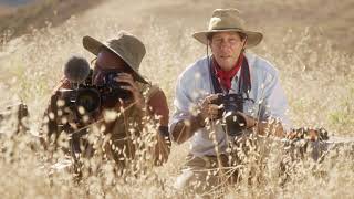 DEVOUR | When Hunger Attacks: Safari TV Commercial 2020
