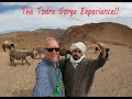 My Incredible Experience in Todra Gorge: Tinghir, Morocco