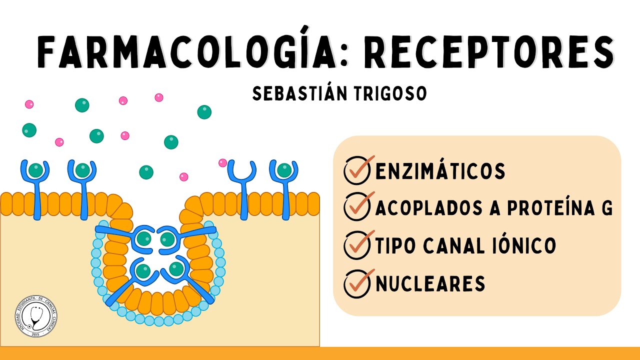 RECEPTORES ENZIMÁTICOS Y ACOPLADOS A PROTEÍNA G | FARMACOLOGÍA - YouTube