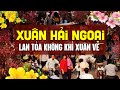 LK Nhạc Xuân Hải Ngoại Hay Nhất 2024 - Nhạc Xuân Tết Chào Năm Mới Lan Tỏa Không Khí Xuân Về