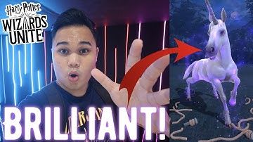 EVERYTHING YOU NEED TO KNOW about the BRILLIANT EVENT in Wizards Unite!