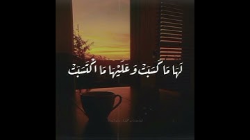 فارس عباد | تلاوة تشرح الصدر 😢| لا يُكَلِّفُ اللَّهُ نَفسًا إِلّا وُسعَها ...⚘