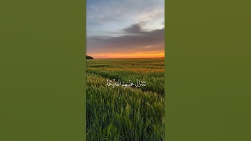تلاوه هادئه من #سورة_فصلت #ناصر_القطامي #تلاوة #القرآن_الكريم #quran #duet #راحة_نفسية #اكسبلور
