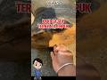 Kaki Gajah Ternyata Empuk,#shorts #gajah #paktahewan