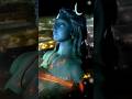 Dangaru Dangaru Mangli With Sound Of Isha Shiv Sadhguru Shorts Dangaru Dangaru Mangli With Sound Of Isha Shiv Sadhguru Shorts