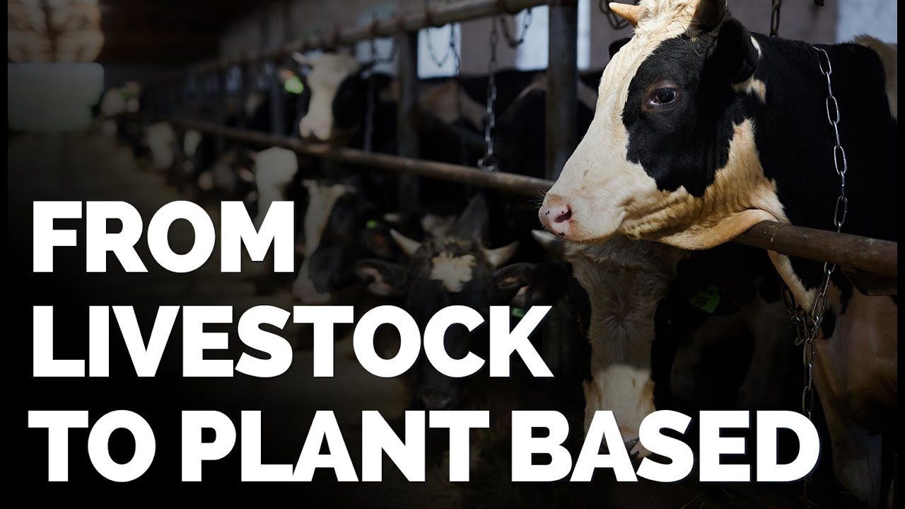 Transitioning from Animal Agriculture to Plant Based Farming
