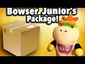 Bowser juniors package