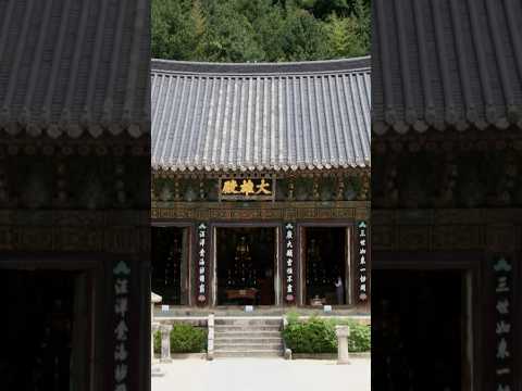 직지사는 왜 ‘직지사’일까? 손끝에서 시작된 1600년의 역사 #직지사 #불교 #여행 #유튜버 #관세음보살 #관세음보살 #한국사찰 #사찰여행 #국내여행 #불교문화 #한국불교