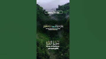 #تلاوة_خاشعة #قرآن #راحة_نفسية #quran #اكتب_شي_تؤجر_عليه
