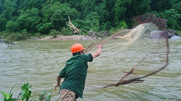 Bắt Hơn 5 Kg Cá Suối Mùa Lũ | Hương Sơn Green