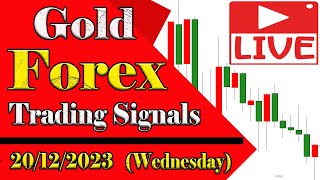 Live Forex Trading Free Signals Gold and Currency Pairs | Forex Fever (20/12/2023)