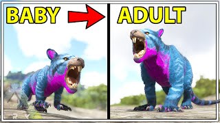 GROWING A BABY THYLA INTO AN ADULT | PLAY AS DINO | ARK SURVIVAL EVOLVED