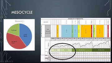 Basic Periodization for Sports Performance