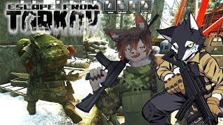 【EFT】学びのアルコフ Live配信 #eft #EscapefromTarkov #ケモノ系Vtuber #Vtuber