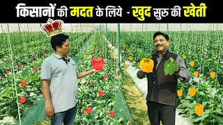 Shimla Mirch ki Organic kheti | शिमला मिर्च की आधुनिक खेती | Capsicum Farming | Net House Farming