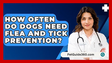 How Often Do Dogs Need Flea And Tick Prevention? - PetGuide360.com