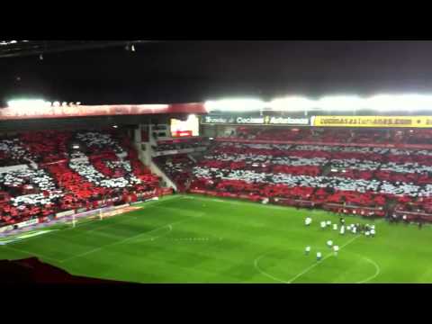 Tifo RSG