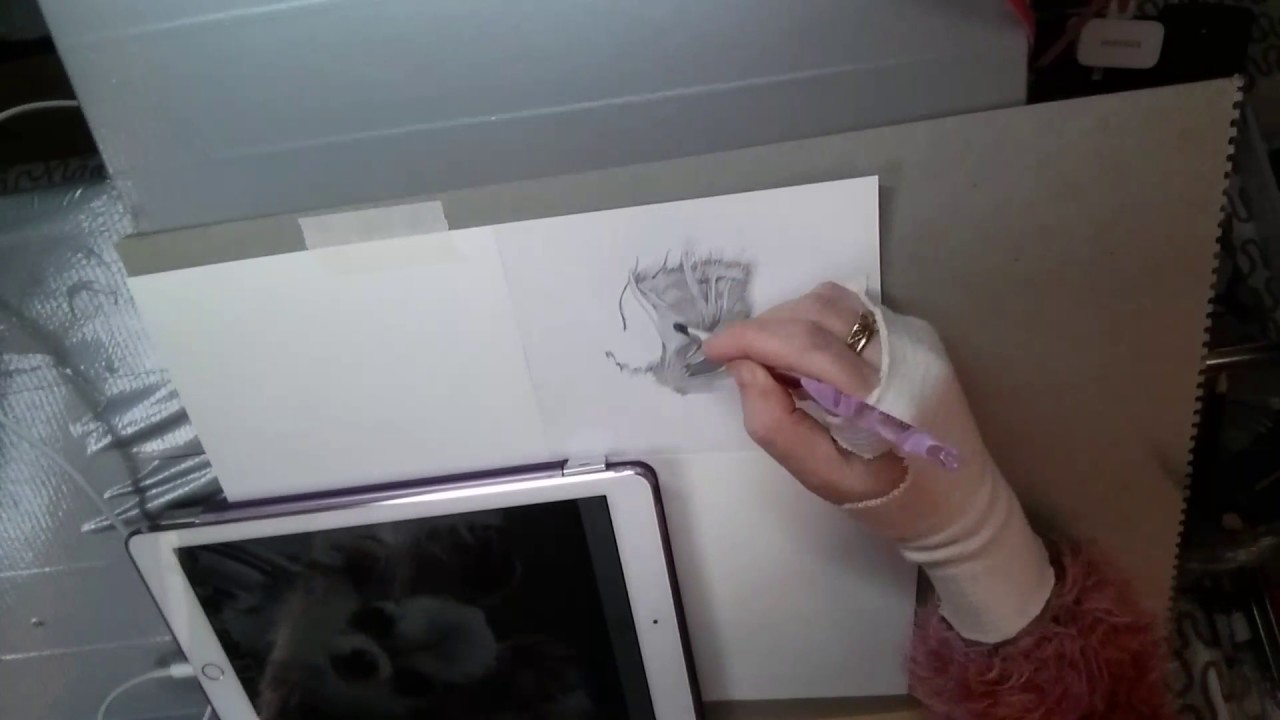 How To Draw A Long Haired Chihuahua Youtube