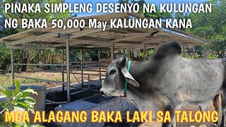 Pagbisita sa isang backyard cattle Farm sa sariaya!