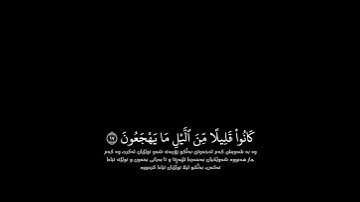 شاشة سوداء قران كريم | سورة الذاريات (الآية ١٥ - ١٩) القارئ بيشةوا قادر الكردي