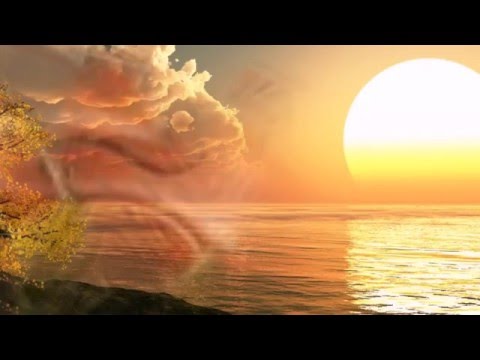 Скрипка грає Ukrainian Song