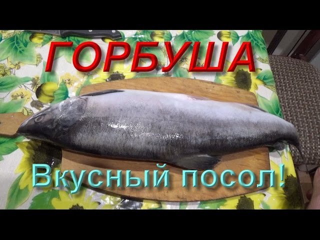 Как вкусно засолить горбушу и другую красную рыбу