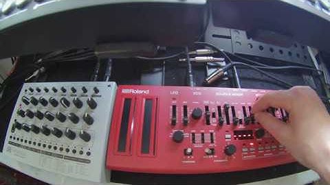 MFB Tanzmaus & Roland SH01A