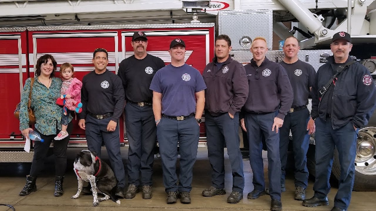 Firefighters Reunited with Dog Whose Life They Saved - YouTube