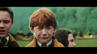 There is No Bone Left Breaks Arm   Harry Potter Chamber of Secrets