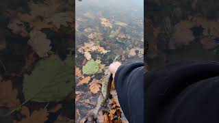 отпускайте таких малышей, господа #щука #рыбалка #микроджиг
