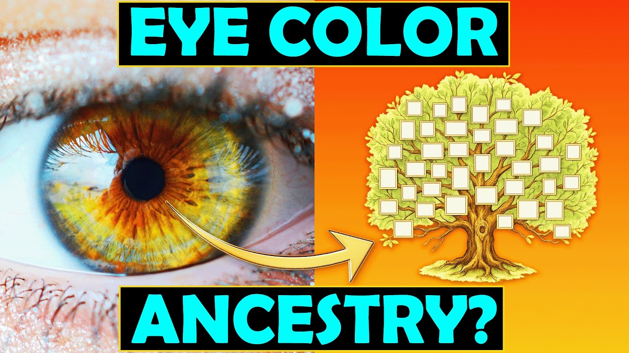 The Hidden Links Between Eye Color & Ancestry… Hazel, Blue, Brown etc.