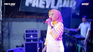 PAEYLAND MUSIC - PERMATA HATI - RIZA PALUPI - WEDDING DEDI & DINA - TENGGULI