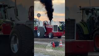 Thunderhorse IH 1206 Farmall Turbo in der 4,5T Supersport Klasse in Sonsbeck