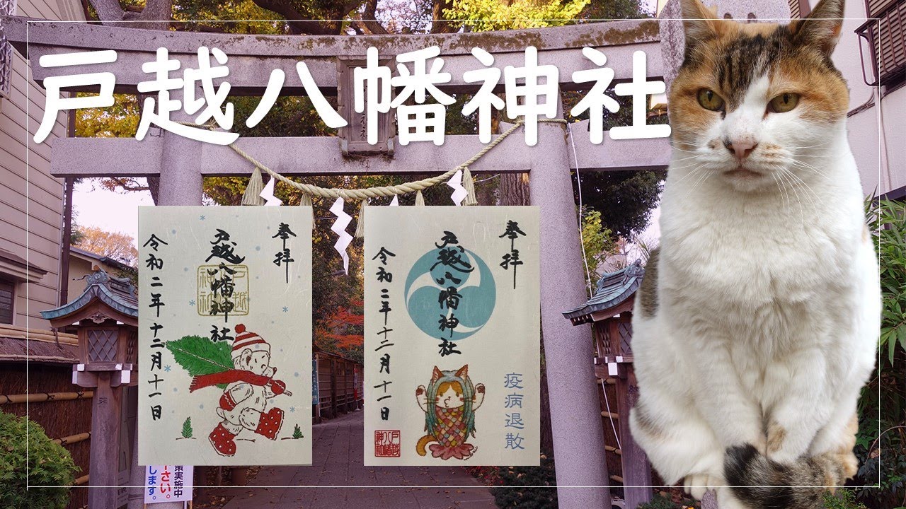 アマビエ×アイドル三毛猫の限定御朱印！おもてなしが凄すぎる戸越八幡神社