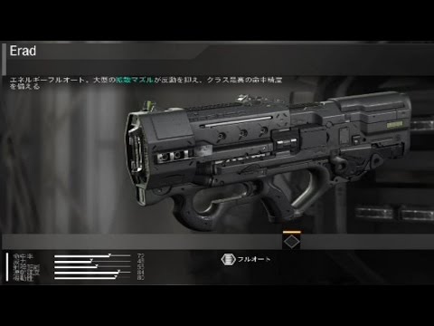 【雪】Erad 武器紹介【CoD:IW】#2