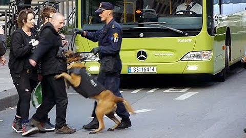 Police against anarchists in Oslo, Norway