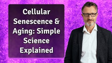 Cellular Senescence & Aging: Simple Science Explained