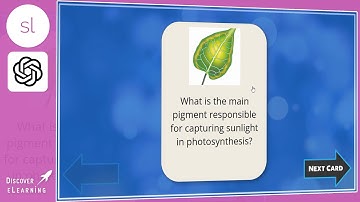 Dynamic AI Flashcard Generator with OpenAI ChatGPT and Dall-E! Articulate Storyline 360 Project Demo