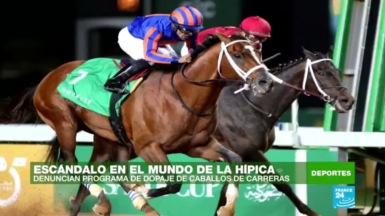 Estalló un escándalo por dopaje en el mundo de la hípica estadounidense -  YouTube