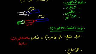 الشحنة الكهربائية (نوعا الشحنة الكهربائية)