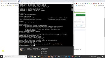 change php version for each website in Vesta CP *(VestCP is Decrypted please go with Hestia)*