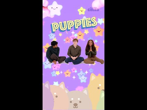 Percy Jackson and the Olympians S2 Cast Puppies | Trailer