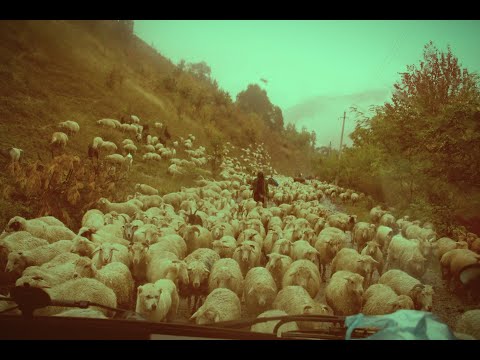 დავსველდით !!! - ვლოგი გუდამაყრის ხეობიდან