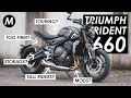 Collecting My Triumph Trident 660: Your Questions Answered!