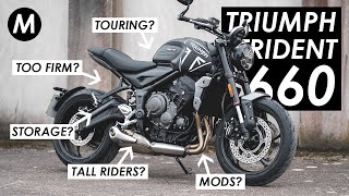 Collecting My Triumph Trident 660: Your Questions Answered!