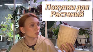 Покупки для растений | Стаканчики | Кашпо