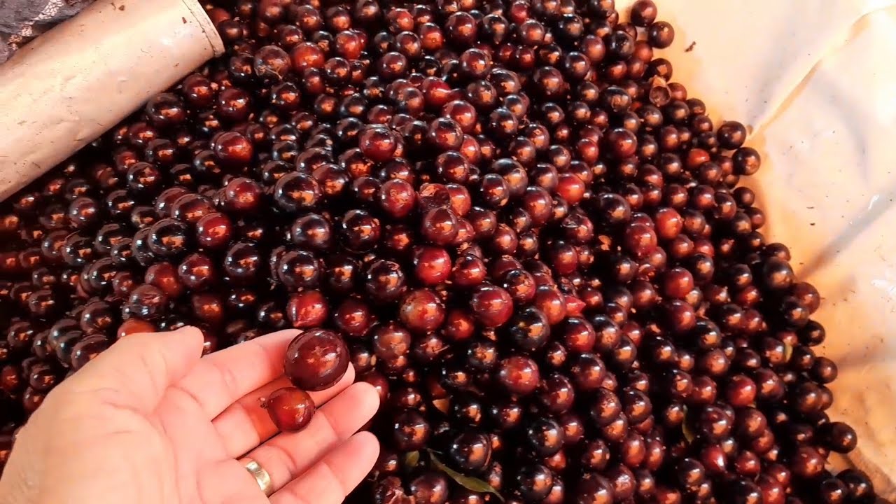 Feira livre Soledade-PB