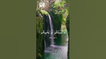 سورة البقرة القارئ فارس عباد