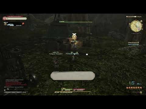 A Natural Instinct - Final Fantasy XIV - A Realm Reborn