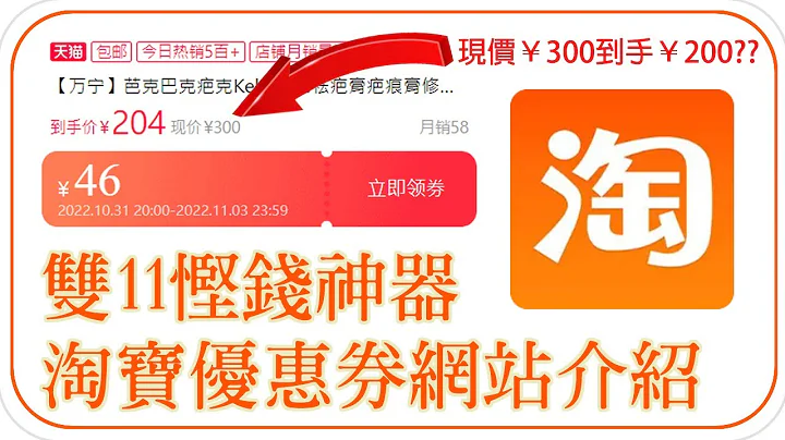 淘宝优惠券 | 双11省钱必杀技, 淘宝优惠券网365日都能找到折扣优惠, 不看完这短片就吃亏了 | Kasie - 天天要闻